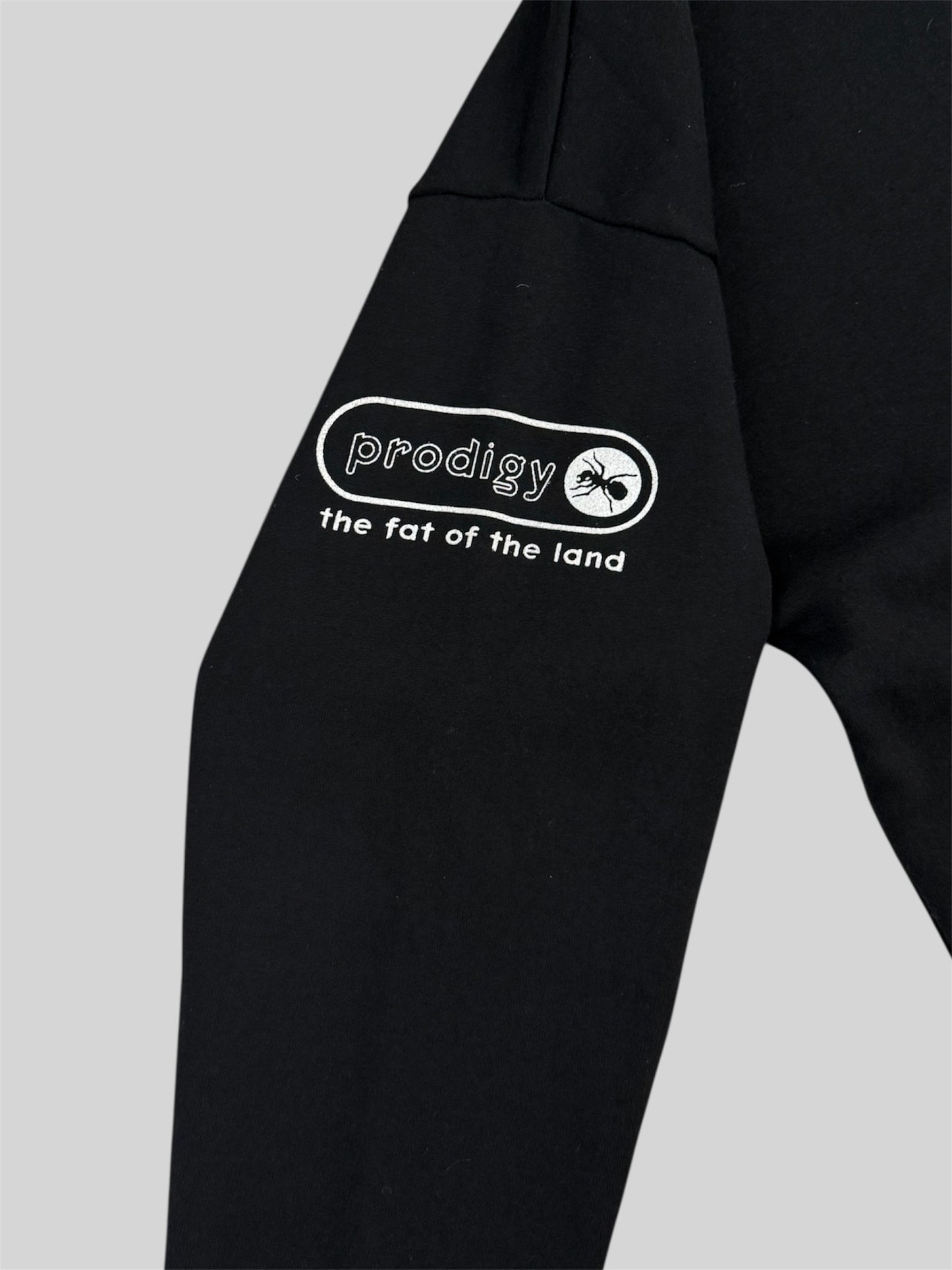 Rare Vintage The Prodigy The Fat of The Land 1997 Full Zip Hoodie Black Large