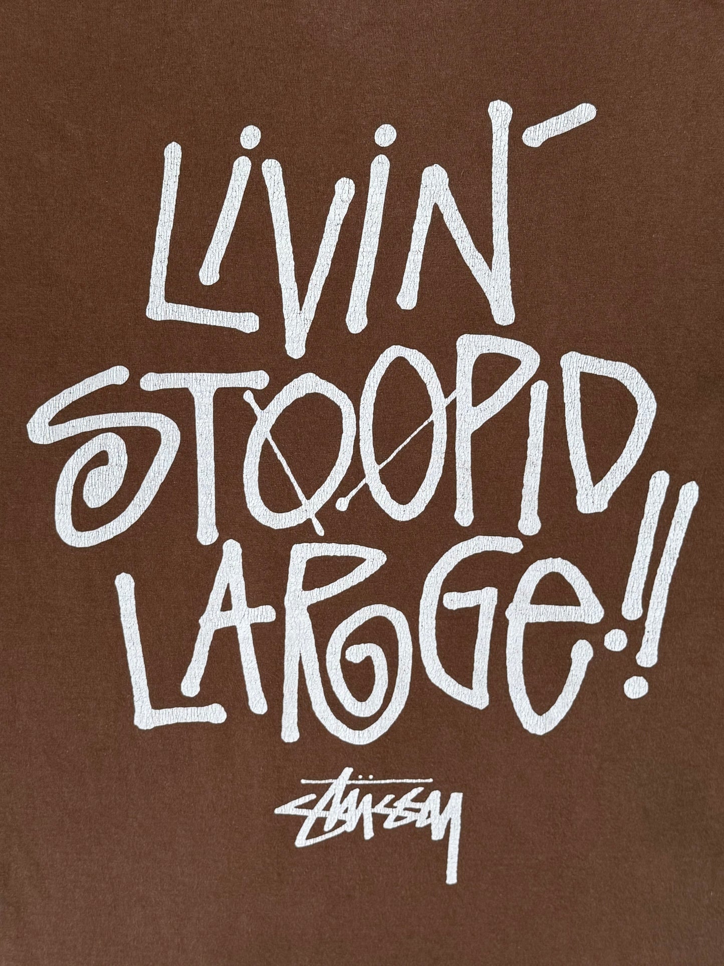 Vintage Stussy 2000s Diamond ‘Livin Stoopid Large’ Long Sleeve T Shirt Brown M