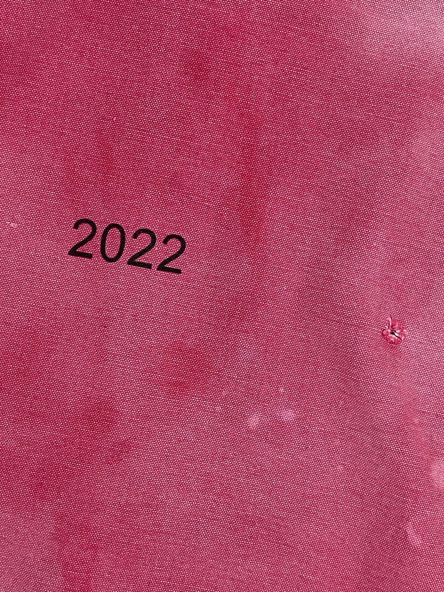 Rare Carhartt Jacket Used In The Fall/Winter 2022 Fashion Show Pink Medium